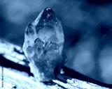 preview cold