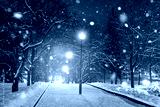 preview cold