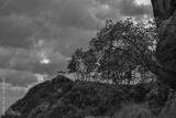 preview bw