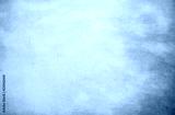 preview cold