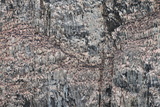 preview original