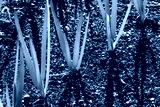 preview cold