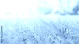 preview cold