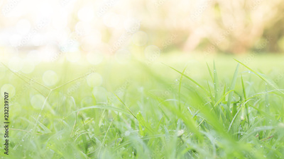 image to crop