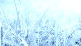 preview cold