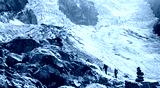 preview cold