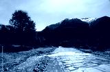 preview cold