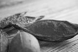 preview bw