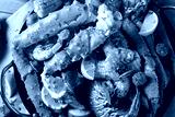 preview cold