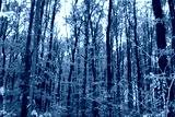 preview cold