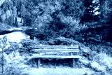 preview cold