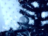 preview cold
