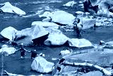 preview cold