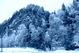 preview cold