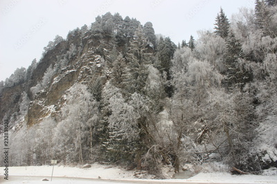image to crop