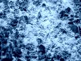 preview cold