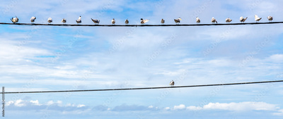 image to crop