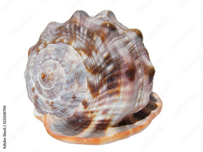 image to crop