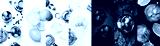 preview cold