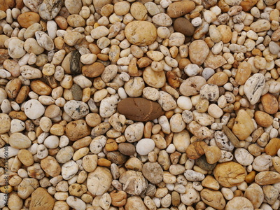 image to crop