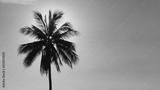 preview bw