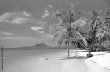 preview bw