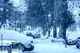 preview cold