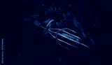 preview cold