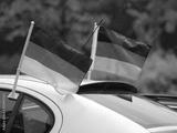 preview bw