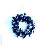 preview cold