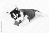 preview bw