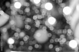 preview bw