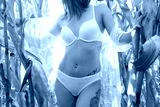 preview cold