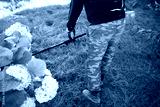 preview cold