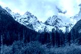 preview cold