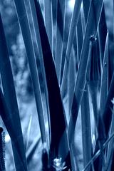 preview cold