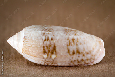 image to crop