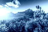 preview cold
