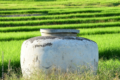 image to crop