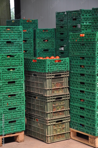image to crop
