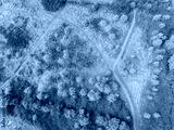 preview cold