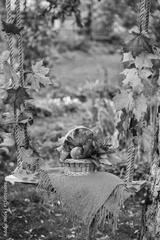 preview bw