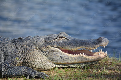 image to crop
