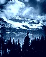 preview cold