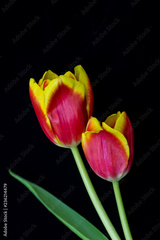 preview original