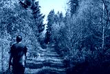 preview cold