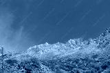 preview cold