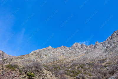 image to crop