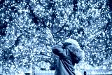 preview cold
