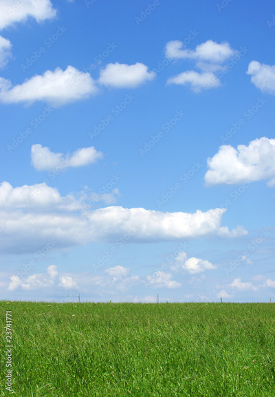 image to crop
